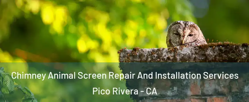  Chimney Animal Screen Repair And Installation Services Pico Rivera - CA