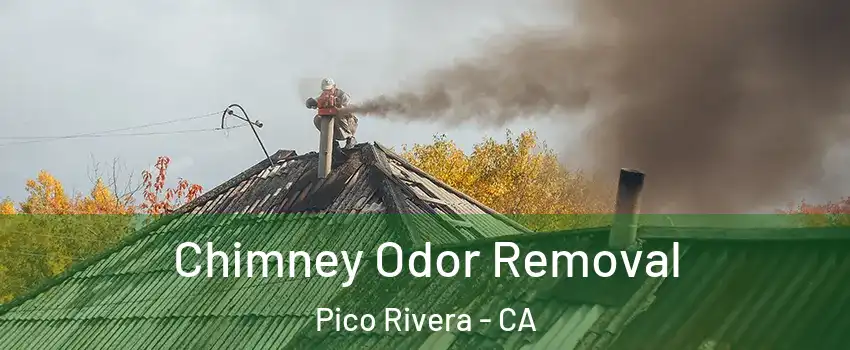  Chimney Odor Removal Pico Rivera - CA