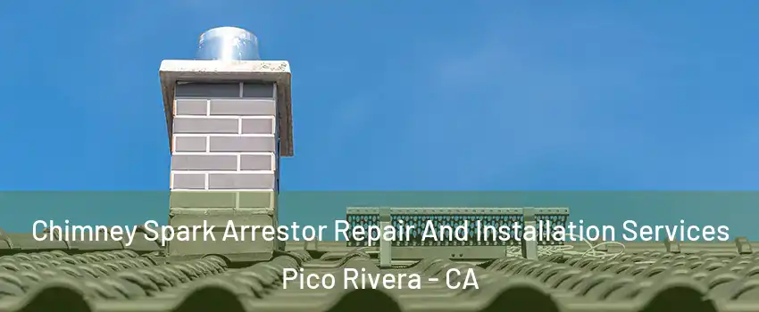  Chimney Spark Arrestor Repair And Installation Services Pico Rivera - CA