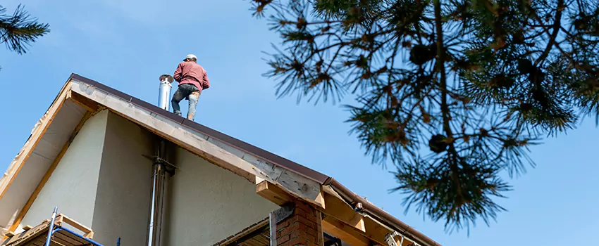 Birds Removal Contractors from Chimney in Pico Rivera, CA