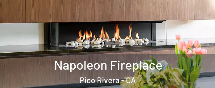  Napoleon Fireplace Pico Rivera - CA